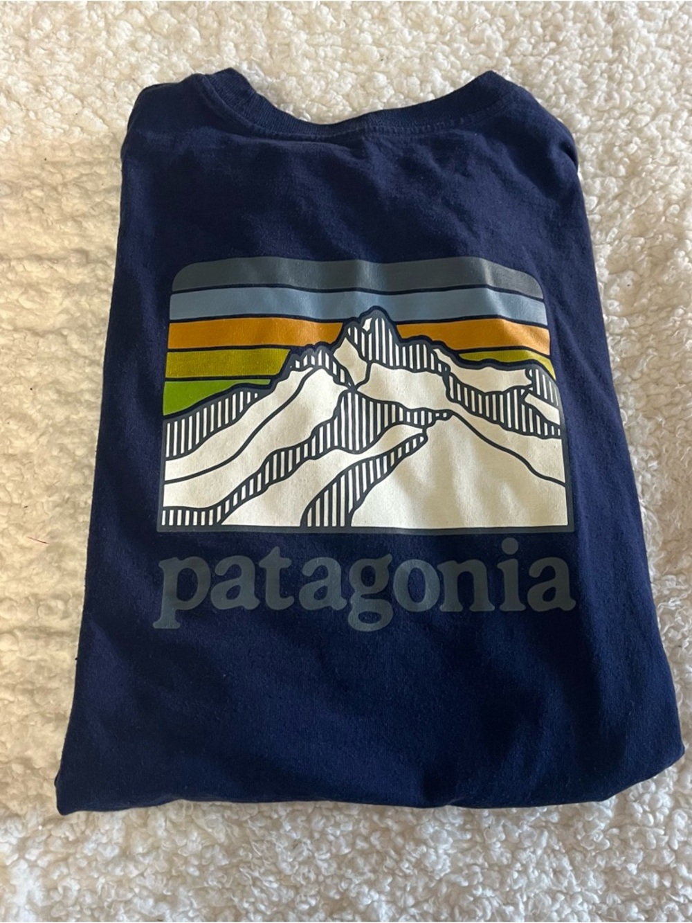 Patagonia Navy Tee with Multicolor Mountain Graphic